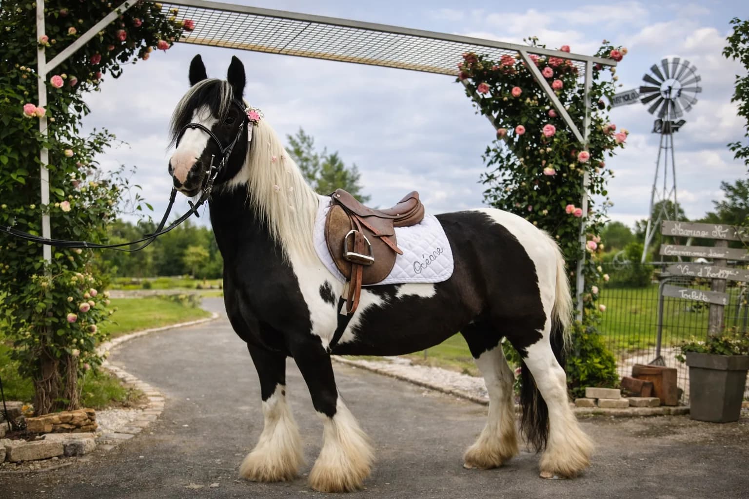 Promenade à cheval